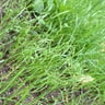 TNT landscape llc profile image