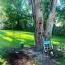 Barbaris Lawn Care profile image