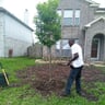 Audrey Landscaping and Tree services profile image