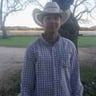 G and S Lawn Care and More profile image
