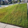 Helpr Lawn Service profile image