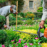 Green Landscaping profile image