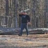 Lumberjack Tree Experts profile image