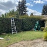 RB lawn care profile image