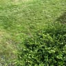 Corrupt Jcs Demo And Landscaping LLC profile image