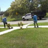 Vazquez lawn and landscape profile image
