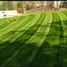 Passionate Landscaping profile image