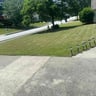 Lowes professional lawn care profile image