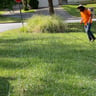 Norman & Malcom's lawn creations profile image