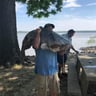 Collins landscaping profile image