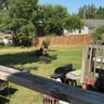 A Parham Landscaping and Hardscaping LLC profile image