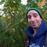 Orchard Grove Farm profile image
