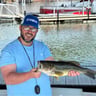 Tipton Landscaping profile image
