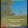 Sanchez Landscaping profile image