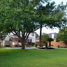 GTO Landscaping & Services profile image
