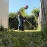 Bucking Lawns and Fencing profile image