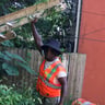 Can’t Miss landscaping profile image