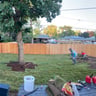 Munozlandscaping profile image