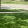 Lawn care is us profile image