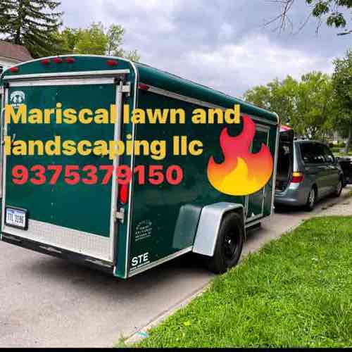 Mariscal Lawn and Landscaping LLC Logo