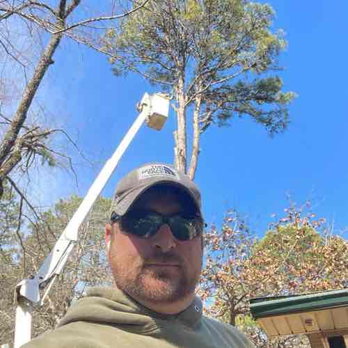 Nichols Tree And Lawn Care services LLC Logo