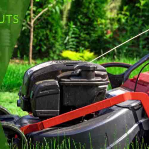 Unique Landscaping Logo