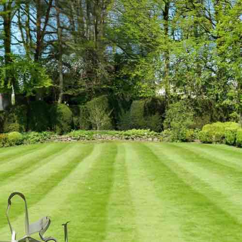 Stamford Lawns Logo