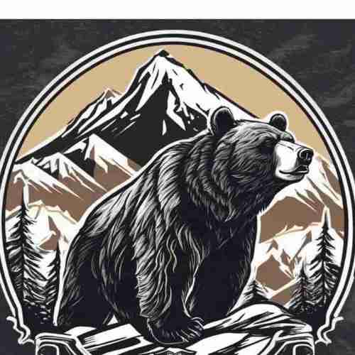 Bear Property Care LLC Logo