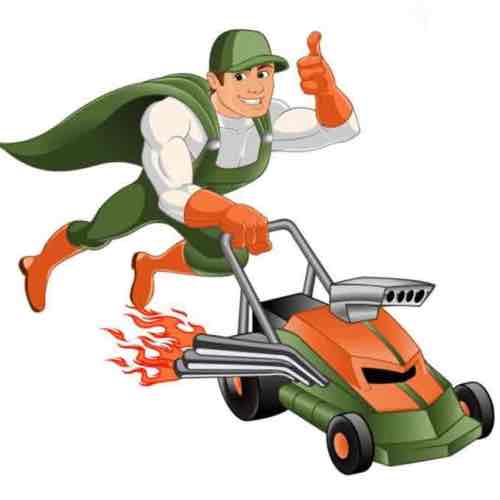 Louisiana lawns Logo
