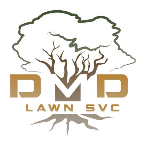 DMD LAWN SVC Logo